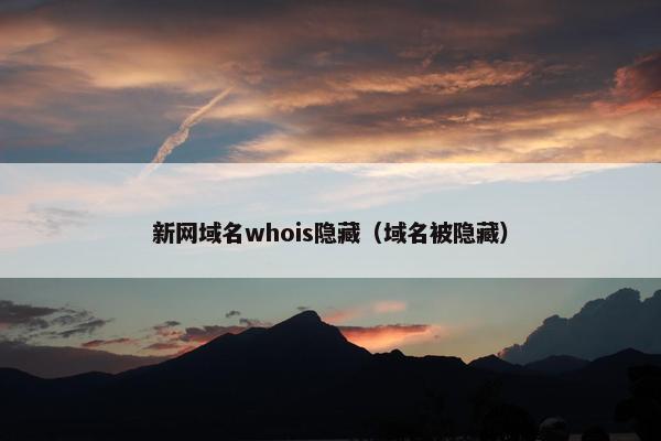 新网域名whois隐藏（域名被隐藏）
