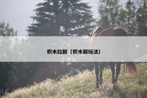 积木拉新（积木新玩法）