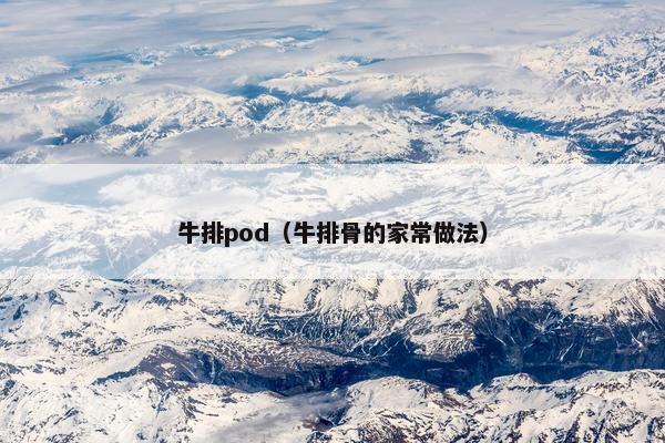牛排pod（牛排骨的家常做法）