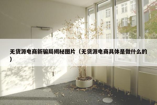 无货源电商新骗局揭秘图片（无货源电商具体是做什么的）