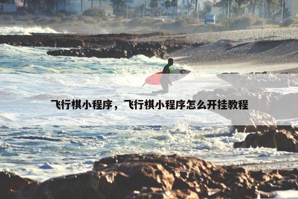 飞行棋小程序，飞行棋小程序怎么开挂教程