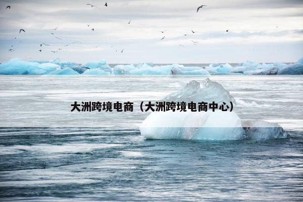 大洲跨境电商（大洲跨境电商中心）