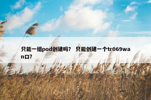 只能一组pod创建吗？ 只能创建一个tr069wan口？