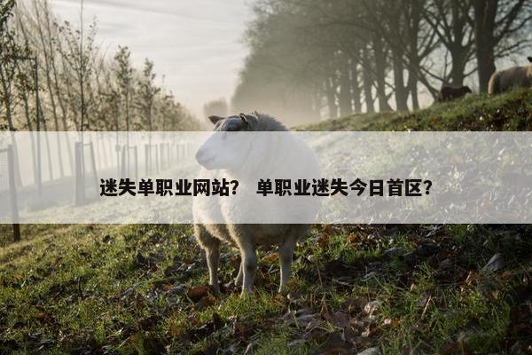 迷失单职业网站？ 单职业迷失今日首区？
