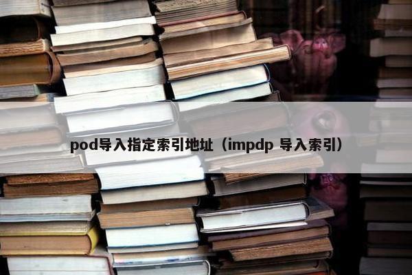 pod导入指定索引地址（impdp 导入索引）