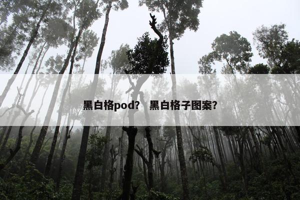 黑白格pod？ 黑白格子图案？